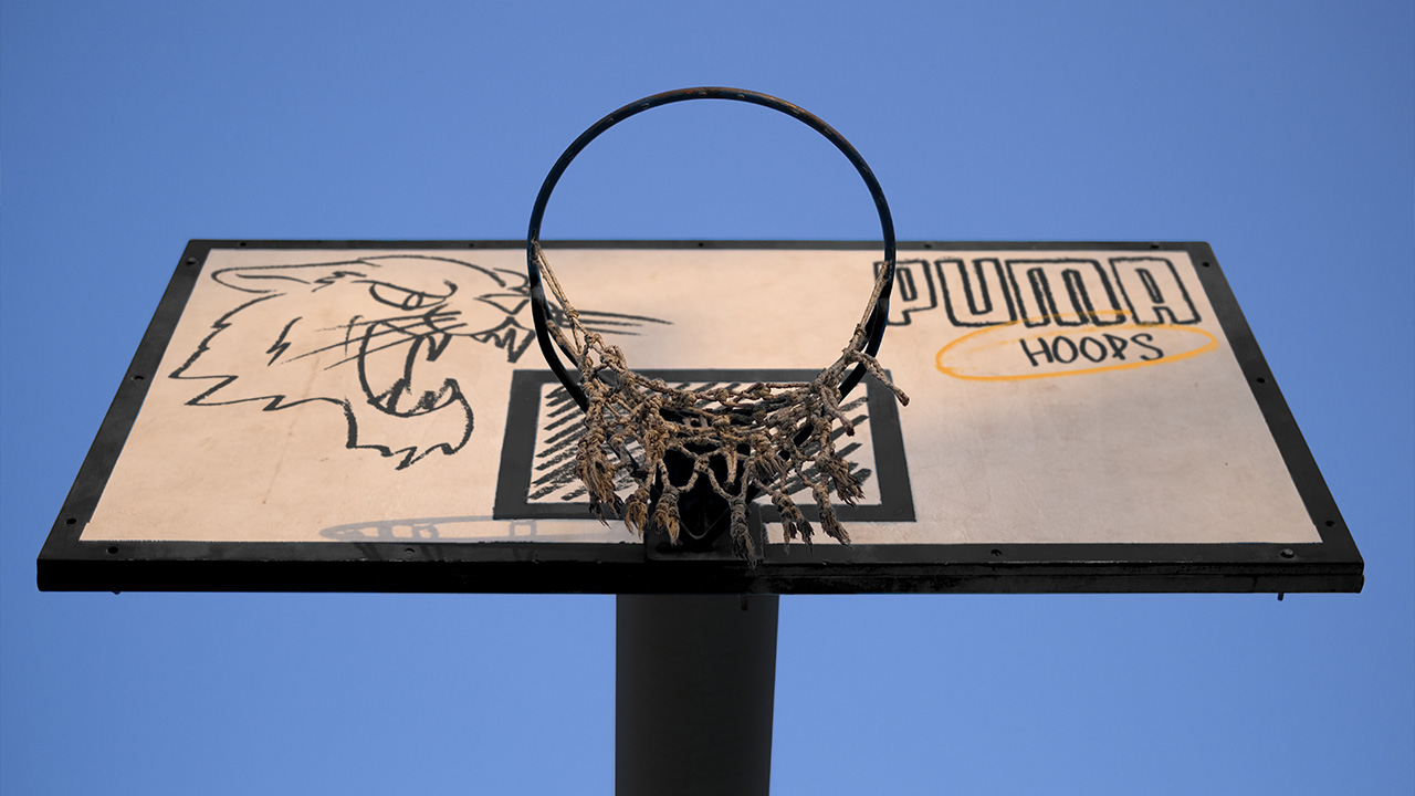 South basketball hoop board backboard painted by Diego R. Wikander