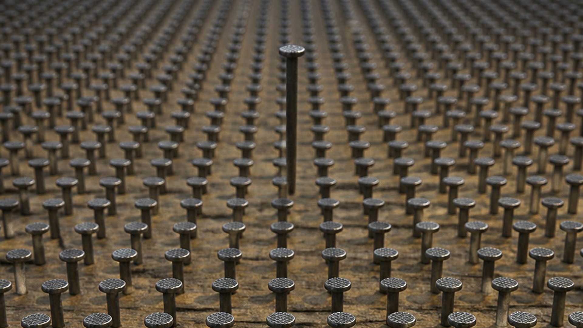 nail represent a brand in a sea of sameness blog post by Main Division